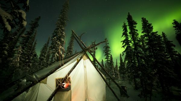 uemura_caribou_antler_wall_tent_aurora.jpg