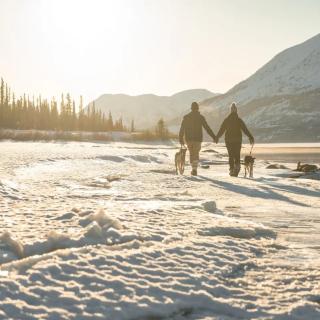 Two people walk along a snowy lakeside with two dogs