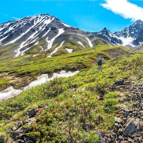 A man hikes up a green valley-side towards a mountain with the reminants of snow