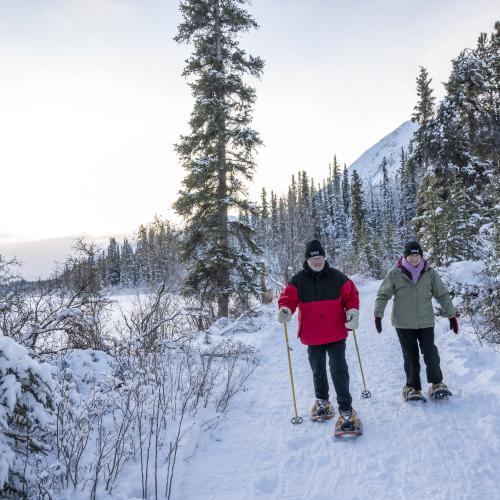 Two people snowshoe in a snowy landscape
