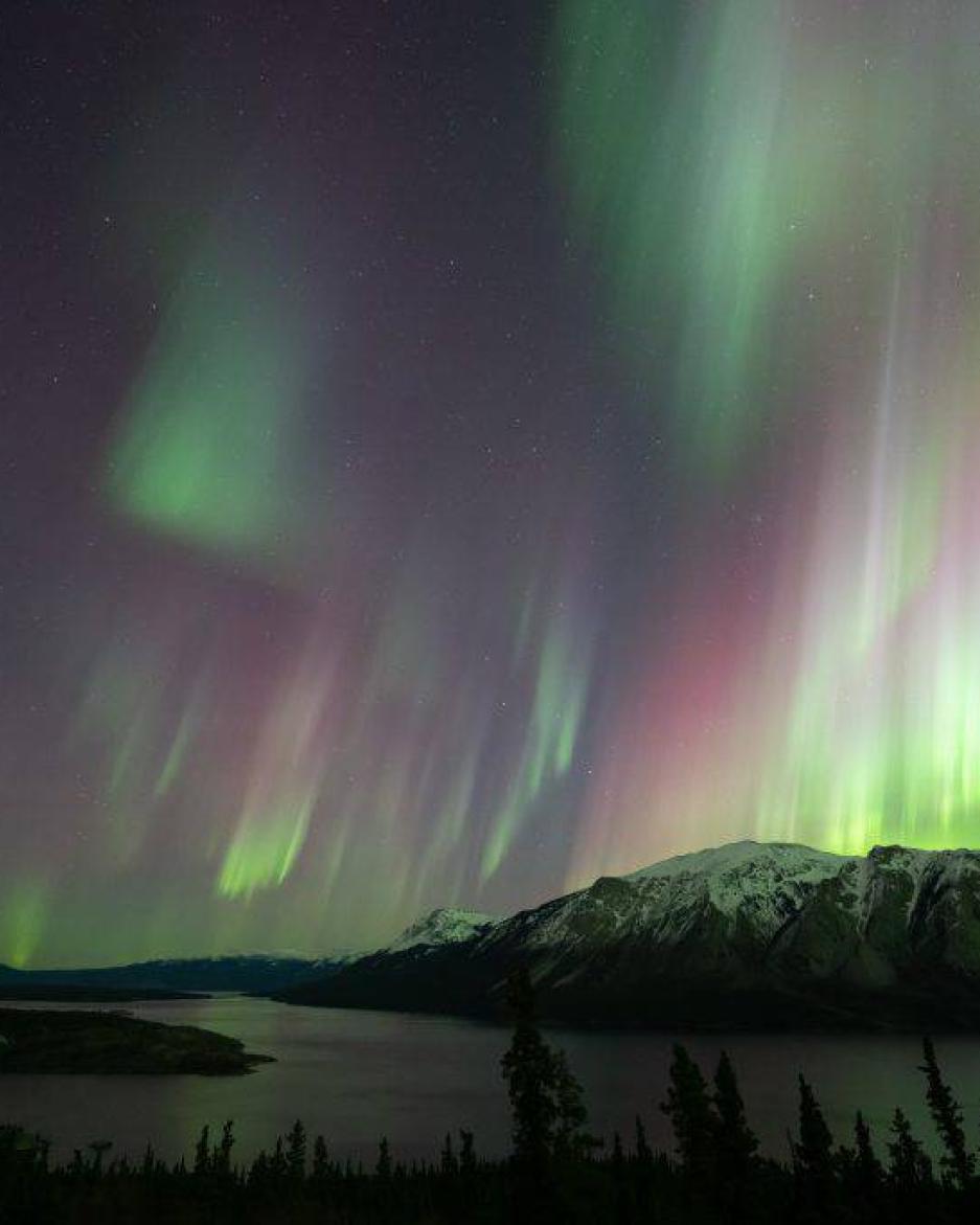 Purple, white and green aurora shine over a mountain and lake