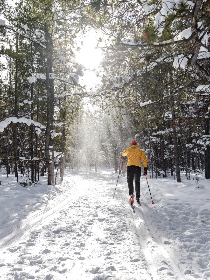 A person cross-country skis in Whitehorse